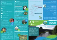 Hyndburn Brook Regularly Spotted at Waterside Locations Butterfly Built As a Single Waterway