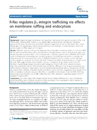 R-Ras Regulates B1-Integrin Trafficking Via Effects on Membrane Ruffling