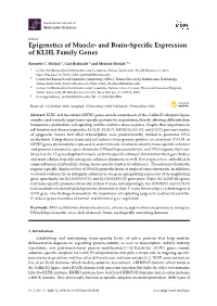And Brain-Specific Expression of KLHL Family Genes