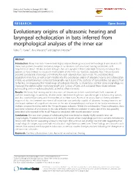 Evolutionary Origins of Ultrasonic Hearing and Laryngeal Echolocation