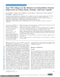 Expression in Ciliary Body, Zonules, and Lens Capsule
