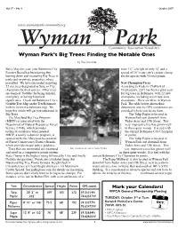 Wyman Park's Big Trees: Finding the Notable Ones