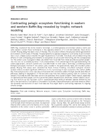 Contrasting Pelagic Ecosystem Functioning in Eastern and Western Baffin Bay Revealed by Trophic Network Modeling