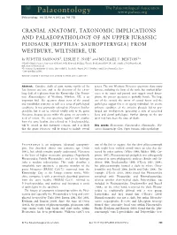 Cranial Anatomy, Taxonomic Implications