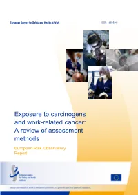 Exposure to Carcinogens and Work-Related Cancer: a Review of Assessment Methods