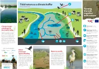 Tidal Nature As a Climate Buffer Flood Control Area Turning the Tide Together with Nature