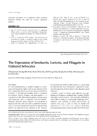 The Expression of Involucrin, Loricrin, and Filaggrin in Cultured Sebocytes