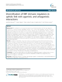 Diversification of MIF Immune Regulators in Aphids