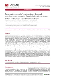 Exploring the Potential of Metabarcoding to Disentangle Macroinvertebrate Community Dynamics in Intermittent Streams