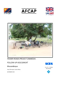 Feeder Roads Project Zambézia: Follow‐Up Assessment Scds