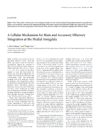 A Cellular Mechanism for Main and Accessory Olfactory Integration at the Medial Amygdala