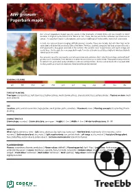 Acer Griseumgriseum Paperbarkpaperbark Maplemaple