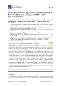 Crosstalk Between Adipokines and Paraoxonase 1: a New Potential Axis Linking Oxidative Stress and Inﬂammation