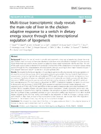 Multi-Tissue Transcriptomic Study Reveals the Main Role of Liver in the Chicken Adaptive Response to a Switch in Dietary Energy