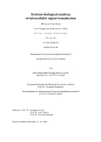 Systems Biological Analyses of Intracellular Signal Transduction