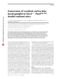 Conversion of Cerebral Cortex Into Basal Ganglia in Emx2 Pax6 Double