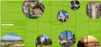 Introduction Attractions Along the Route