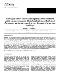 Pathogenicity of Entomopathogenic Entomophthora Grylli on Grasshoppers Diabolocatantops Axillaris and Zonocerus Variegatus Causing Leaf Damage of Shea Tree Seedlings