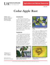 Cedar-Apple Rust