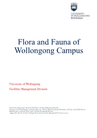 Flora and Fauna of Wollongong Campus