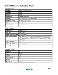 Primepcr™Assay Validation Report