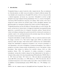 1 Introduction