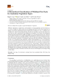A Hierarchical Classification of Wildland Fire Fuels for Australian