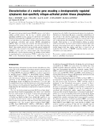 Characterization of a Murine Gene Encoding a Developmentally Regulated Cytoplasmic Dual-Speciﬁcity Mitogen-Activated Protein Kinase Phosphatase Robin J
