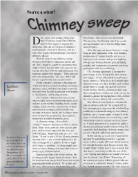 Chimney Sweep Dawn Mcder- Placing Tarps Over Flooring And, If Necessary, Dmott Will Be Happy to Explain the Moving Furniture out of the Way Helps Mini- Difference