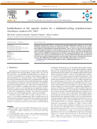 Establishment of the Reporter System for a Thylakoid-Lacking