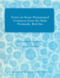 Notes on Some Stomatopod Crustacea from the Sinai Peninsula, Red Sea