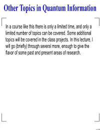 Other Topics in Quantum Information