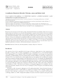 Phytotaxa, a Synthesis of Hornwort Diversity