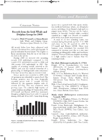 (2010) Records from the Irish Whale
