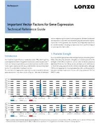 Important Vector Factors for Gene Expression Technical Reference Guide