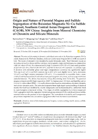 Origin and Nature of Parental Magma and Sulfide Segregation Of