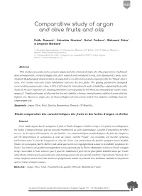 Comparative Study of Argan and Olive Fruits and Oils