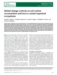 Global-Change Controls on Soil-Carbon Accumulation and Loss in Coastal Vegetated Ecosystems