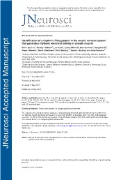 Identification of a Rhythmic Firing Pattern in the Enteric Nervous System That Generates Rhythmic Electrical Activity in Smooth Muscle