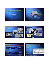 Magnesium Alloy Development for High
