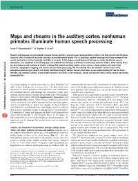 Maps and Streams in the Auditory Cortex: Nonhuman Primates Illuminate Human Speech Processing