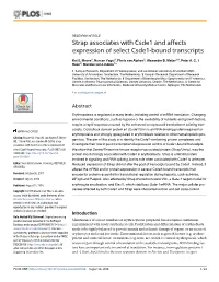 Strap Associates with Csde1 and Affects Expression of Select Csde1-Bound Transcripts