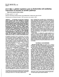 A Global Regulatory Genein Escherichia Coli Mediating