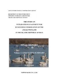 Final Report