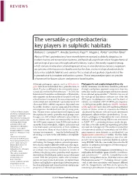 The Versatile Ε-Proteobacteria: Key Players in Sulphidic Habitats
