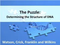 Watson and Crick