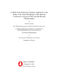 A Multi-Scale Molecular Dynamic Approach to the Study of the Outer Membrane of the Bacteria Psudomonas Aeruginosa PA01 and the Biocide Chlorhexidine