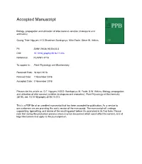 Biology, Propagation and Utilization of Elite Coconut Varieties (Makapuno and Aromatics)