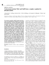 Centrosomal Proteins Nde1 and Su48 Form a Complex Regulated by Phosphorylation
