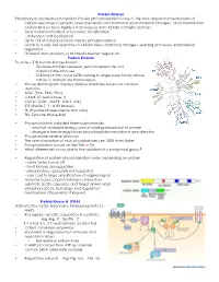 Protein Kinases Phosphorylation/Dephosphorylation Protein Phosphorylation Is One of the Most Important Mechanisms of Cellular Re